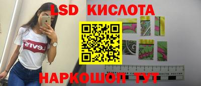 дмт Сланцы