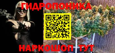 дмт Сланцы