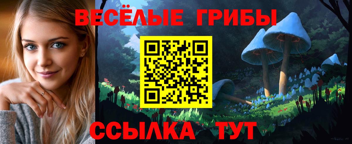 Галлюциногенные грибы Cubensis  Вход с VPN  цена наркотик  Псилоцибиновые грибы MAGIC MUSHROOMS  Сафоново 