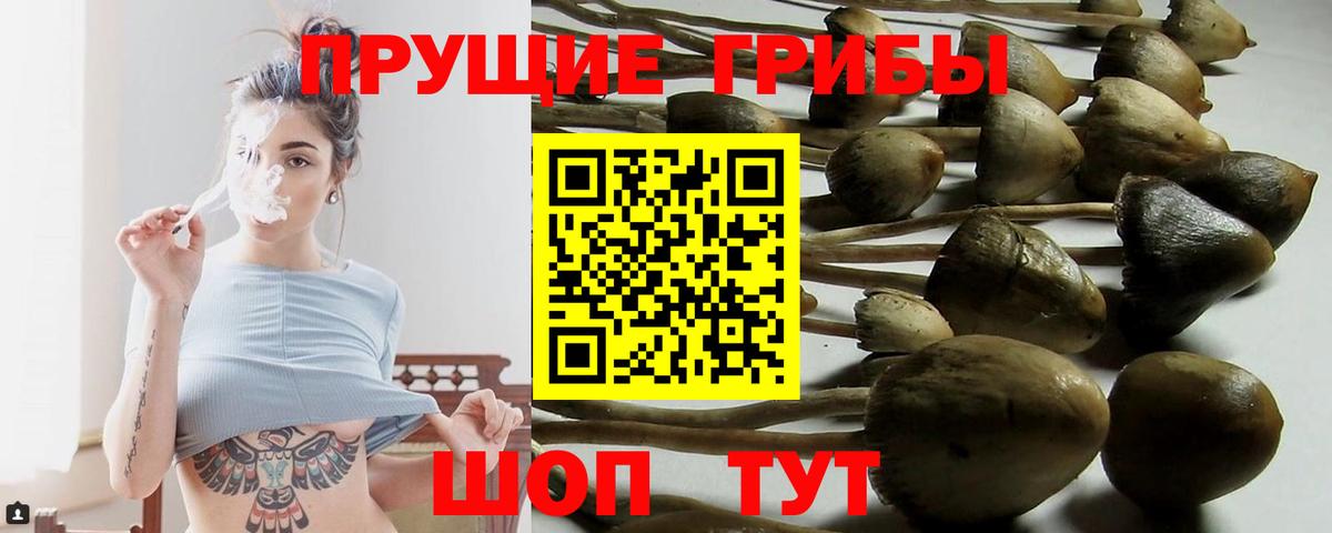 Галлюциногенные грибы Magic Shrooms Сафоново